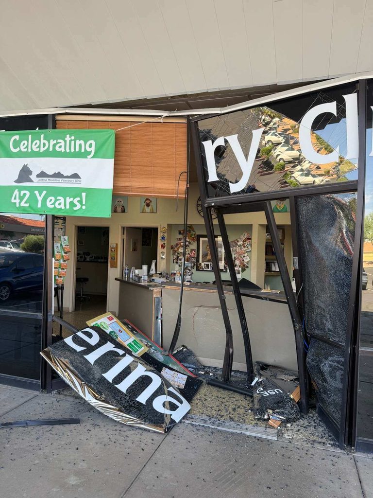 single door smashed by car at business in phoenix